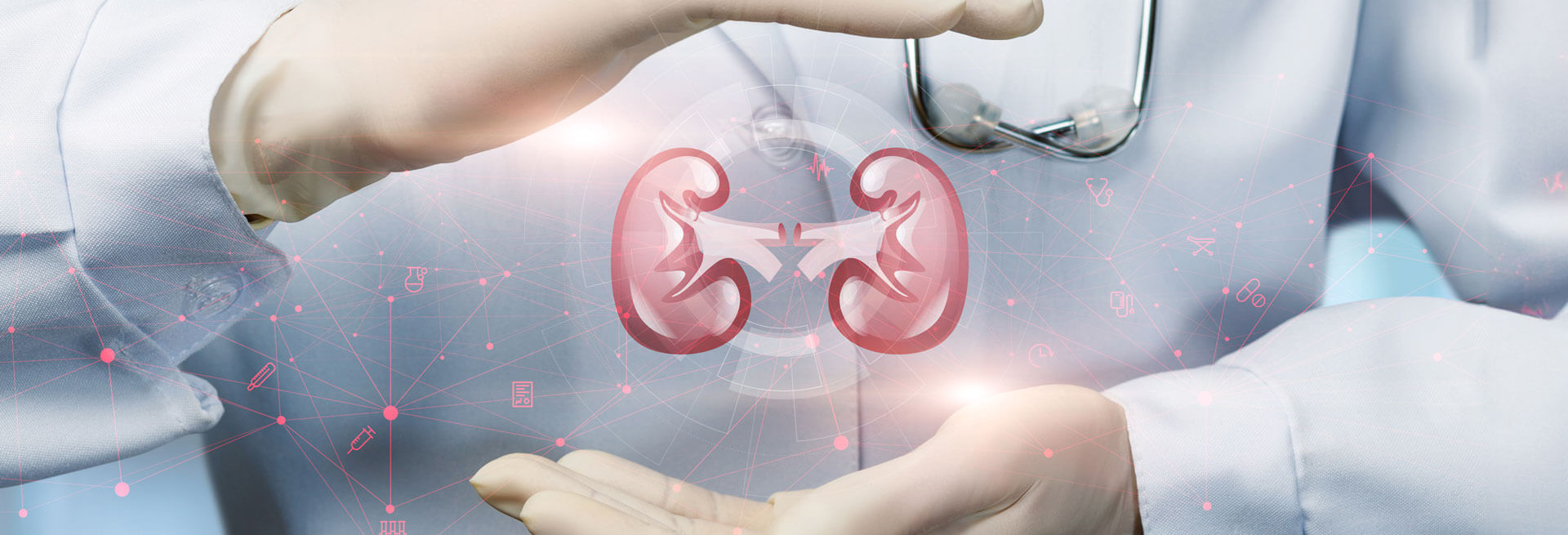 Doctor / Kidneys graphic stock photo for Georgia Kidney Associates | Nephrologists | Nephrology Specialists